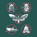 Set of pest insects in prohibition sign vector illustration.