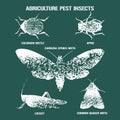 Set of pest insects vector illustration with signs