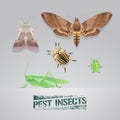 Set of pest insects vector realistic illustration Royalty Free Stock Photo