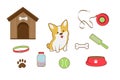 Set of pet store icons. Accessories for dogs. Flat vector illustration. Feeding, toys, balls, collar.