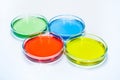 Set of Petri dishes with colored liquid