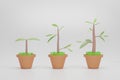 Set of with phases plant growth isolated on white background. 3D rendering