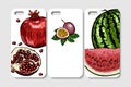 Set of phone case design. Abstract fruits and berries background. Royalty Free Stock Photo