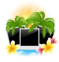 Set photo frame with palms, flowers frangipani, seascape background