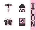 Set Photo frame, Wine corkscrew, Butterfly and Cloud with rain icon. Vector