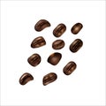 set of photorealistic coffee beans. Vector graphics