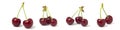 Set of 4 photos, red ripe cherries on a white background. Collection of berries isolated for quick selection