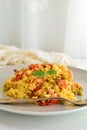 Chicken Risotto with Vegetables and Turmeric Royalty Free Stock Photo