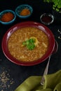 Vegan Brown Lentil Stew with Spices Royalty Free Stock Photo