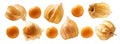 A set of Physalis berries. Isolated on a white background Royalty Free Stock Photo