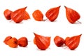 Set of Physalis fruit. Isolated on a white background Royalty Free Stock Photo
