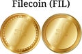 Set of physical golden coin Filecoin (FIL)