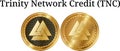 Set of physical golden coin Trinity Network Credit TNC