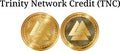 Set of physical golden coin Trinity Network Credit TNC