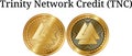 Set of physical golden coin Trinity Network Credit TNC