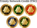 Set of physical golden coin Trinity Network Credit TNC