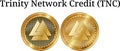 Set of physical golden coin Trinity Network Credit TNC