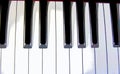Set of piano keys in illustration Royalty Free Stock Photo