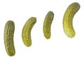 Set of pickled cucumbers of different shapes isolated on a white background, top view. Group of pickles. Royalty Free Stock Photo