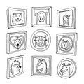 Set picture frames with animals portrait, hand drawn vector illustration