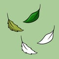 A set of pictures, green tea leaves for brewing tea, cocktail ingredients, vector cartoon