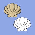 A set of pictures, a large beige shell, sea life, vector cartoon