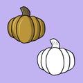 A set of pictures, a large orange ripe pumpkin, a vector cartoon