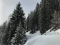 Winter Austria Snow Ice White Cold Lift Ski Snowboard Mountain Sun Clouds Blue Sky Red Plastic Red Fence Metal Shadow Closeup