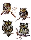 Set of pictures of owls.