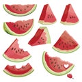 A set of pieces of watermelon. A collection of sliced watermelon. Juicy summer fruit. Illustration for children.