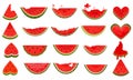 Set of pieces of watermelon. Collection of slices watermelon. Juicy summer fruit. Illustration for children.