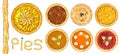 Set of pies with different toppings. Vector illustration isolated on white Royalty Free Stock Photo