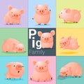 Set of Pig family Royalty Free Stock Photo