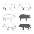 Set of Pig Illustration Isolated on White Background Vector Royalty Free Stock Photo