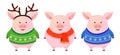 Set of pigs, Christmas vector