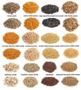 Set of piles of variuos unhulled seeds cutout