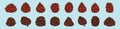 Set of pine cones cartoon icon design template with various models. vector illustration isolated on blue background Royalty Free Stock Photo