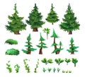 Set of Pine forest. Coniferous spruce trees. Landscape cartoon style. Isolated on white background. Vector Royalty Free Stock Photo