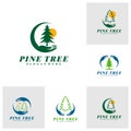 Set of Pine Tree with Care logo design vector. Creative Pine Tree logo concepts template Royalty Free Stock Photo