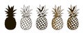 Set of pineapple fruits Royalty Free Stock Photo