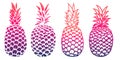 Set of pineapple illustrations isolated on white background. Design elements for logo, label, emblem, sign. Vector illustration. Royalty Free Stock Photo