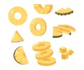 Set Pineapple Round and Triangular Slices, Fresh Tropical Plant. Sliced Natural Exotic Fruit with Juicy Pulp, Product