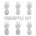 A set of pineapples. Doodle. Black and white vector illustration