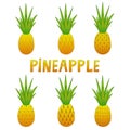 A set of pineapples. Doodle. Colorful vector illustration