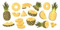 Set of Pineapples, Ripe Healthy Organic Product Design Elements, Fresh Tropical Plant. Whole, Half and Sliced Fruits Royalty Free Stock Photo