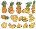 Set of pineapples in sketch style. Pineapple cut into pieces. Fresh exotic citrus fruits. Tropical pineapple. Whole, sliced, slice Royalty Free Stock Photo