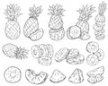 Set of pineapples in sketch style. Pineapple cut into pieces. Fresh exotic citrus fruits. Tropical pineapple. Whole, sliced, slice Royalty Free Stock Photo