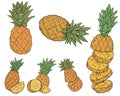 Set of pineapples in sketch style. Pineapple cut into pieces. Fresh exotic citrus fruits. Tropical pineapple. Whole, sliced, slice Royalty Free Stock Photo