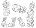 Set of pineapples in sketch style. Pineapple cut into pieces. Fresh exotic citrus fruits. Tropical pineapple. Whole, sliced, slice Royalty Free Stock Photo