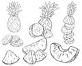 Set of pineapples in sketch style. Pineapple cut into pieces. Fresh exotic citrus fruits. Tropical pineapple. Whole, sliced, slice Royalty Free Stock Photo